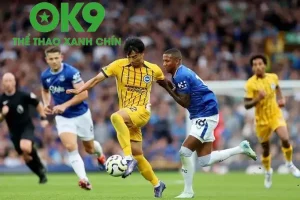 fun88 link